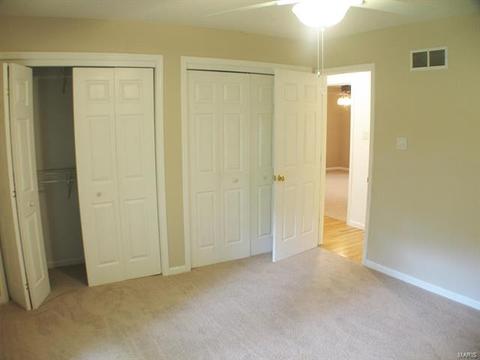 10437 E Watson, Sunset Hills, MO 63127 photo 24