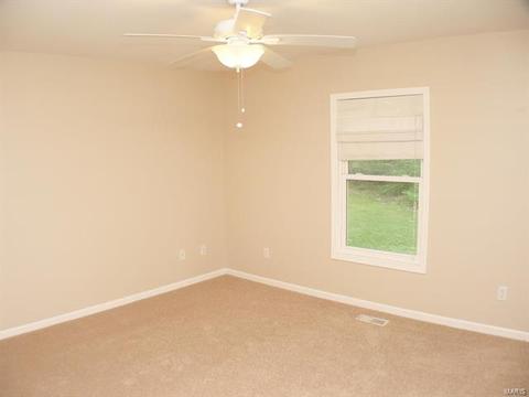 10437 E Watson, Sunset Hills, MO 63127 photo 22