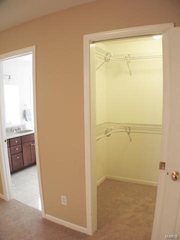 10437 E Watson, Sunset Hills, MO 63127 photo 30
