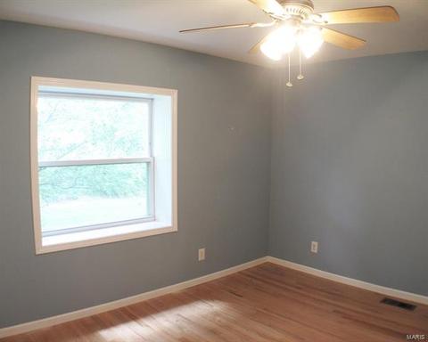 10437 E Watson, Sunset Hills, MO 63127 photo 20