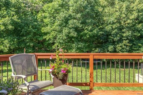 1380 Red Oak Plantation Dr, Ballwin, MO 63021 photo 37