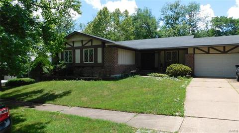 925 Penny Ln, Ballwin, MO 63011 photo 1