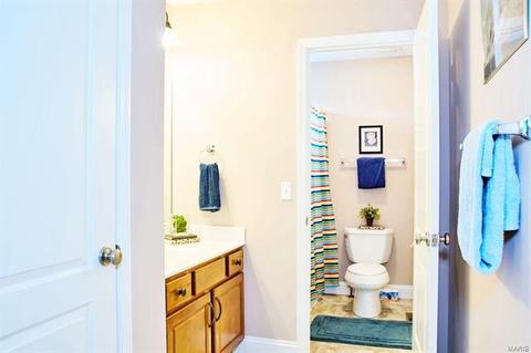 82 Glory Lily, O'fallon, MO 63366 photo 24