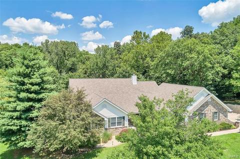 3 Himalaya Ct, O'fallon, MO 63366 photo 56