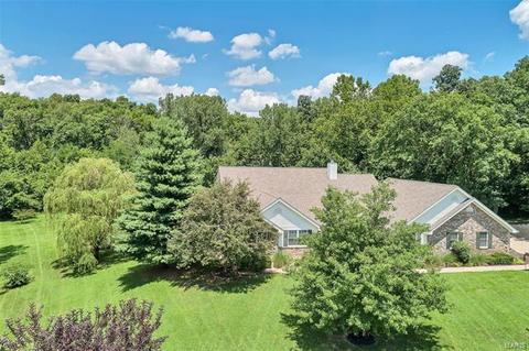 3 Himalaya Ct, O'fallon, MO 63366 photo 57