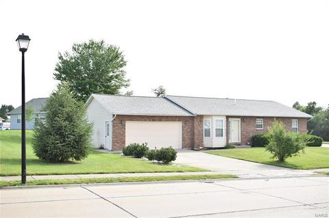 100 Stonehill Rdg, Valmeyer, IL 62295 photo 1