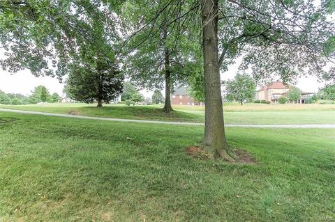 614 Loughmor Pass, Weldon Spring, MO 63304 photo 49