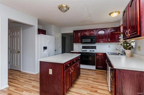 1356 Sunview Dr, O'fallon, MO 63366 photo 8