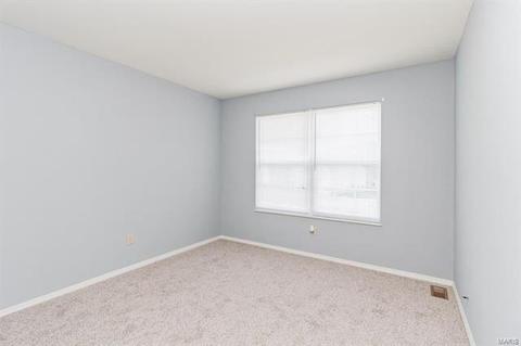 1356 Sunview Dr, O'fallon, MO 63366 photo 21