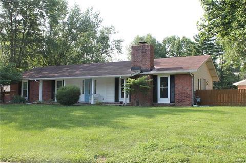 3 Sunnybrae Ct, Ballwin, MO 63011 photo 2