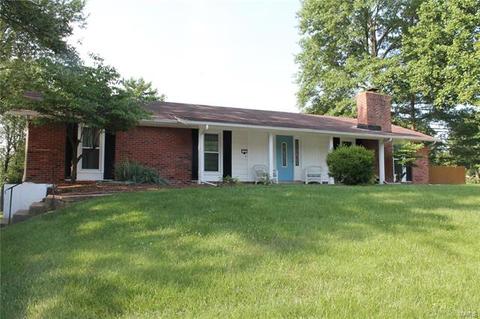 3 Sunnybrae Ct, Ballwin, MO 63011 photo 21
