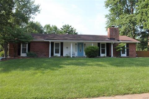 3 Sunnybrae Ct, Ballwin, MO 63011 photo 1