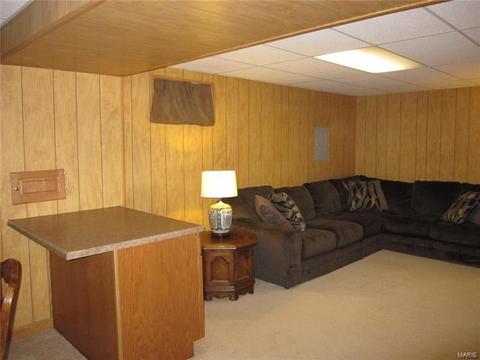 32 Mallard Pointe Dr, O'fallon, MO 63368 photo 50