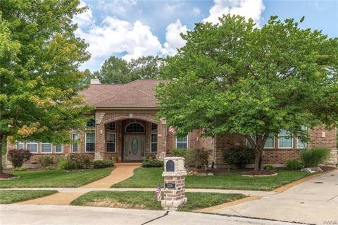 1201 Kiefer Woods Cir, Ballwin, MO 63021 photo 3