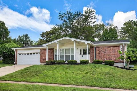 1305 Rusticview Dr, Ballwin, MO 63011 photo 19