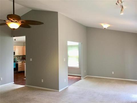 259 Valleybrook Ct, O'fallon, MO 63368 photo 4