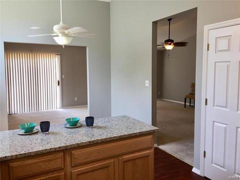 259 Valleybrook Ct, O'fallon, MO 63368 photo 11