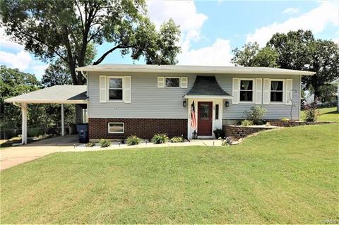 36 Edwards Cir, Union, MO 63084 photo 1