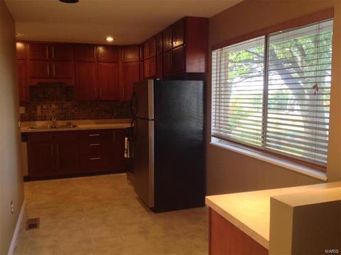 1217 Holgate Dr, Ballwin, MO 63021 photo 5