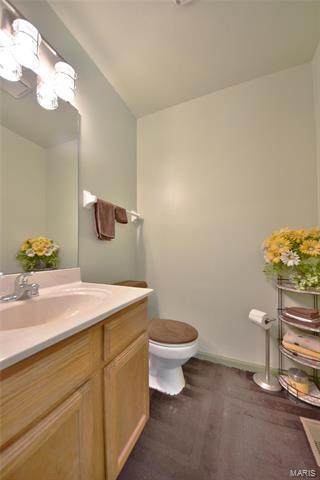 461 Elm Crossing Ct, Ballwin, MO 63021 photo 19