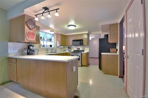 461 Elm Crossing Ct, Ballwin, MO 63021 photo 16