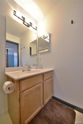 461 Elm Crossing Ct, Ballwin, MO 63021 photo 22