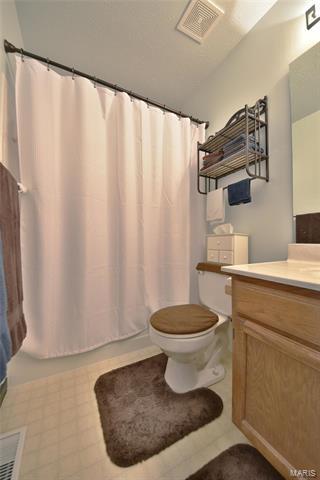 461 Elm Crossing Ct, Ballwin, MO 63021 photo 23