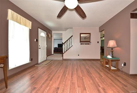 461 Elm Crossing Ct, Ballwin, MO 63021 photo 4
