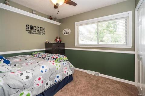 25 Pas Dr, Manchester, MO 63021 photo 35