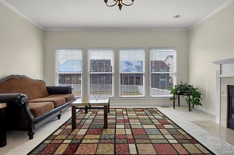 1234 Cold Spring Dr, O'fallon, MO 63368 photo 8
