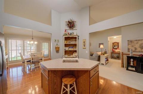 503 Villa Piazza Ct, O'fallon, MO 63366 photo 21