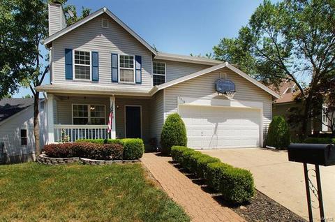 1518 Glenn Brooke Woods Cir, Ballwin, MO 63021 photo 28