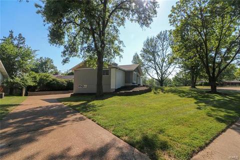 1 Chevington Ct, Ballwin, MO 63011 photo 25
