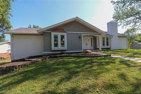 1 Chevington Ct, Ballwin, MO 63011 photo 34