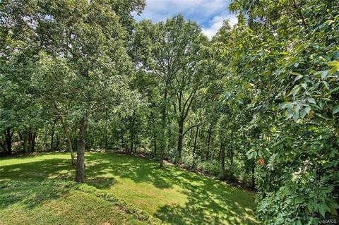 19173 Old Logging Rd, Glencoe, MO 63038 photo 33