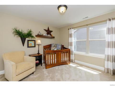 202 Montrose Ct, O'fallon, MO 63368 photo 39