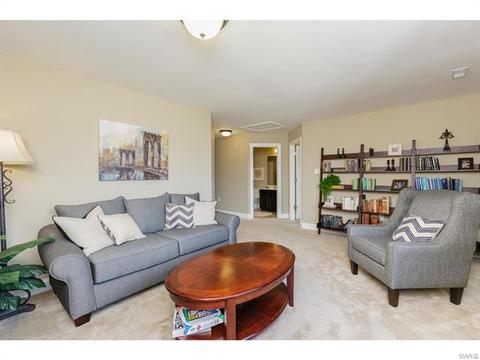 202 Montrose Ct, O'fallon, MO 63368 photo 14