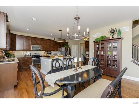 202 Montrose Ct, O'fallon, MO 63368 photo 28