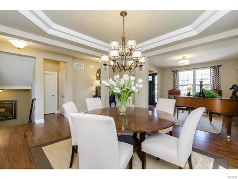 202 Montrose Ct, O'fallon, MO 63368 photo 24