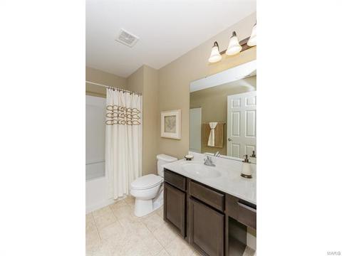 202 Montrose Ct, O'fallon, MO 63368 photo 21