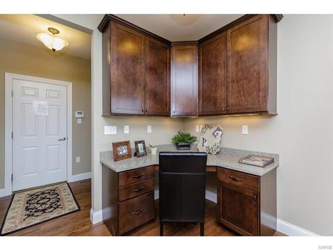 202 Montrose Ct, O'fallon, MO 63368 photo 32