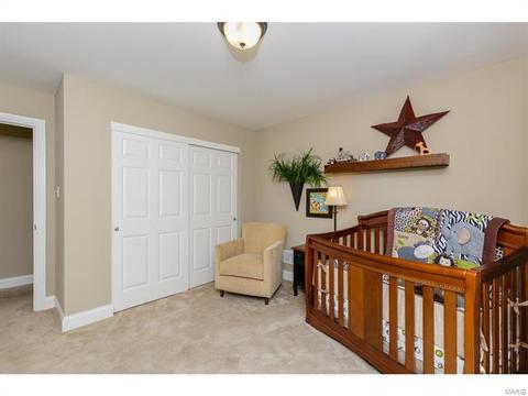 202 Montrose Ct, O'fallon, MO 63368 photo 19