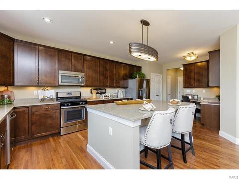 202 Montrose Ct, O'fallon, MO 63368 photo 4
