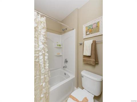 202 Montrose Ct, O'fallon, MO 63368 photo 38