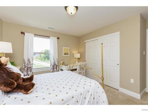 202 Montrose Ct, O'fallon, MO 63368 photo 37