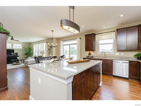 202 Montrose Ct, O'fallon, MO 63368 photo 30