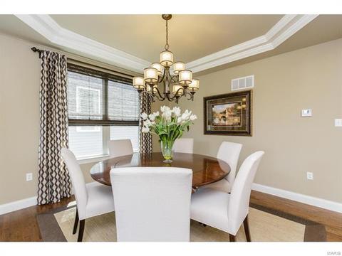 202 Montrose Ct, O'fallon, MO 63368 photo 7