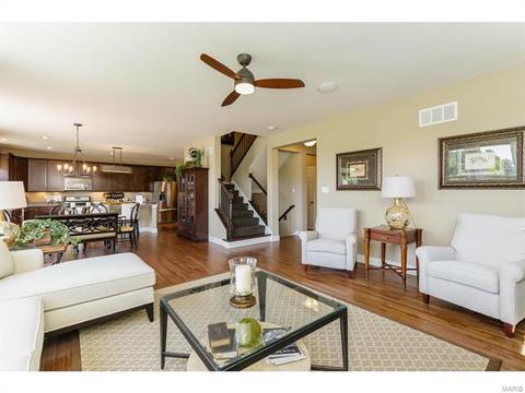 202 Montrose Ct, O'fallon, MO 63368 photo 8