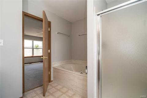 43 Spring Borough Ct, O'fallon, MO 63368 photo 16