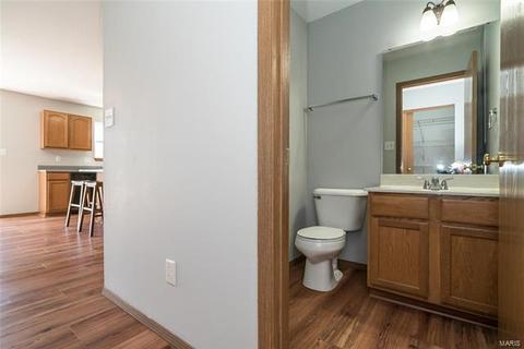 43 Spring Borough Ct, O'fallon, MO 63368 photo 9